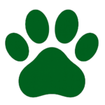 Τζώρτζης Ρούσσος