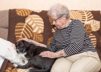 Άνοια τρίτης ηλικίας: Η «συμβολή» του σκύλου στον περιορισμό της αρρώστιας