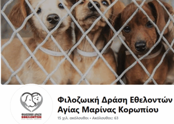 Στο στόχαστρο ο δήμαρχος Κορωπίου Δημήτρης Κιούσης