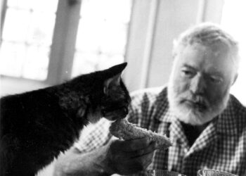 Έρνεστ Χέμινγουεϊ : Ο πιο διάσημος γατόφιλος 