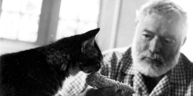 EH 8504P
Ernest Hemingway with his cat, Christobal Colon, at his home, Finca Vigia in Cuba.  Please credit "Ernest Hemingway Collection/John F. Kennedy Presidential Library and Museum, Boston"