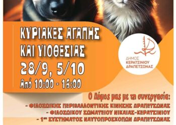 Δυο Κυριακές αγάπης στα Λιπάσματα Δραπετσώνας