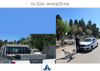 Είναι κακοποίηση ή αστυνομική αυθαιρεσία η σύλληψη κυνηγού στη Λήμνο;