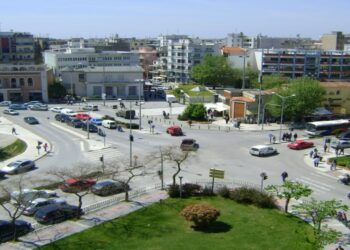 Κομοτηνή: Δράσεις για τα αδέσποτα ζώα συντροφιάς  