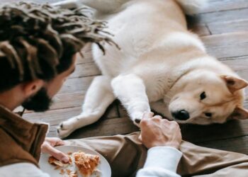 Ο σκύλος μας ΠΟΤΕ δεν τρώει όταν το ζητάει