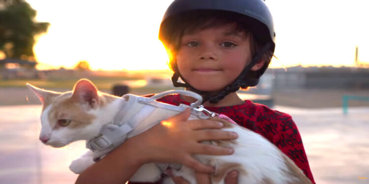 Photo: ASPCA, Youtube Video Screenshot