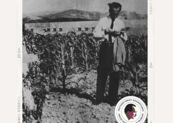 Νίκος Καζαντζάκης : Μια γάτα του έσωσε τη ζωή.  