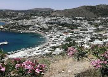 Φρικτό έγκλημα στη Λέρο: 13χρονος κατέσφαξε γατάκι