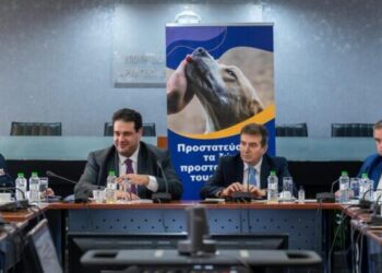 Πίσω από τις φιοριτούρες της Αστυνομίας