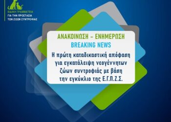 Εξι έτη κάθειρξης για εγκατάλειψη νεογέννητων κουταβιών