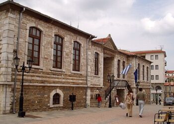 Δήμος Πολύγυρου-Προσπαθεί για τα αδέσποτα