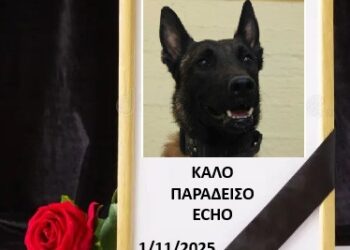Θλίψη για τον θάνατο του Echo