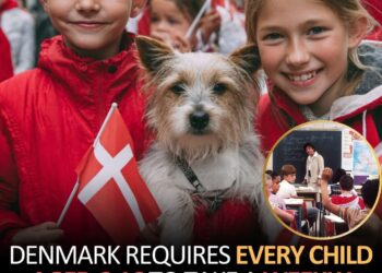 Δανία: Οι τετράποδοι «δάσκαλοι» της ενσυναίσθησης