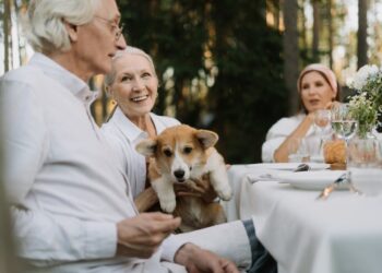 Κατοικίδια & Ηλικιωμένοι: Φάρμακο για τη Μοναξιά