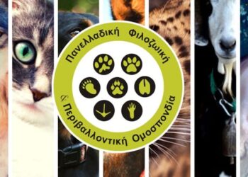 Παραπλανητική κάλυψη για το περιστατικό με το Ροτβάιλερ