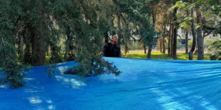 Χρηστος Φιλοζωικό fb