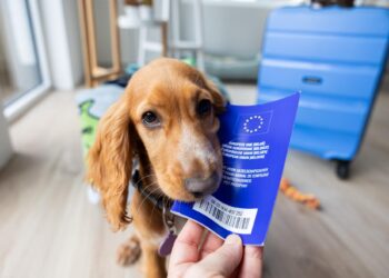 Πρώτος Ευρωπαϊκός Κανονισμός για Ευζωία