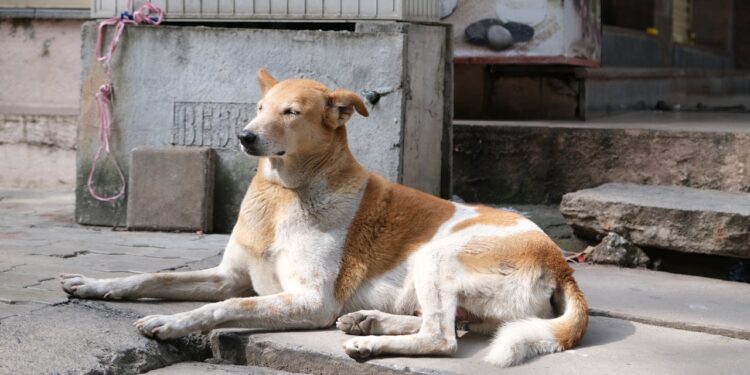 ΦΩτο αρχείου
