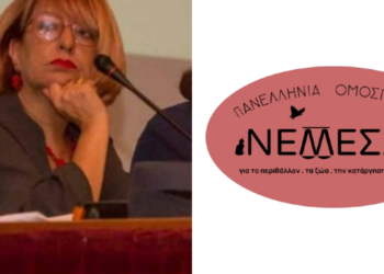 Αποψη Νατάσα Μπομπολάκη: Δήμοι, Κράτος και φιλοζωϊκό κίνημα