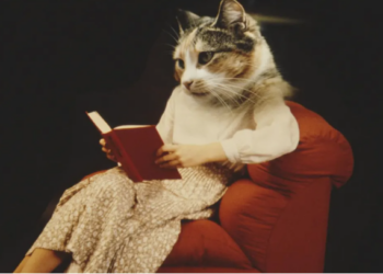 «Cat Lady» Από πού ξεπήδησε ο μύθος