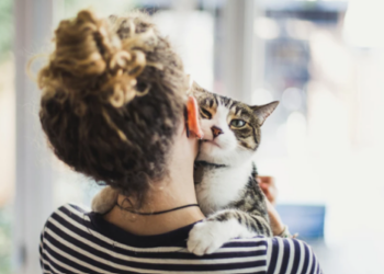 Γιατί οι Γυναίκες Επιλέγουν τη Γάτα ως Κατοικίδιο