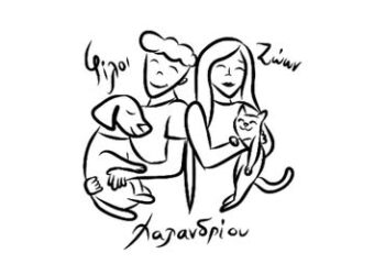 Χαλάνδρι-Ξεκίνησε εκστρατεία μαζικών στειρώσεων