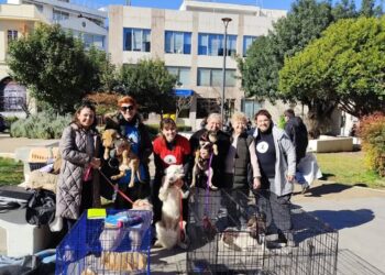 Χαλκίδα: Γραφειοκρατία για τις μέρες υιοθεσίας