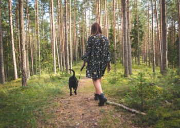 Βόλτα Σκύλου-Ρουτίνα ή Ποικιλία για τον Φίλο σας