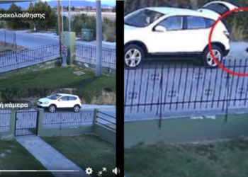 Κακούργημα και πρόστιμο «μαμούθ»  η  εγκατάλειψη σκυλίτσας με 3 κουτάβια