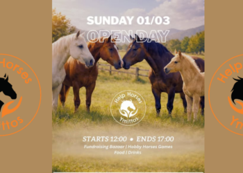 Στηρίξτε τα άλογα του Υμηττού! Εκδήλωση Help Horses