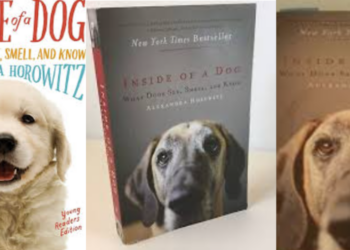 Inside of a Dog: Τι βλέπει & τι νιώθει ο σκύλος