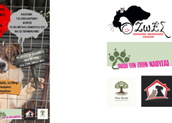 Κυνοκομείο Αλεξάνδρειας: Έλα να Γίνεις η Αλλαγή!