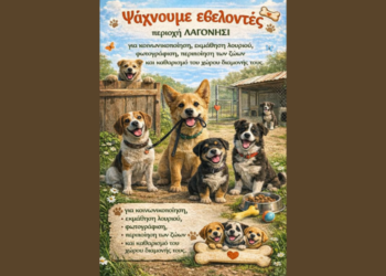 Γίνε Εθελοντής στα Ζώα του Λαγονησίου