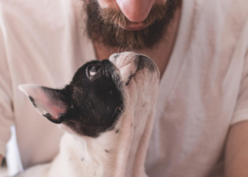Τι αλλάζει στην αντρική ψυχολογία ο σκύλος