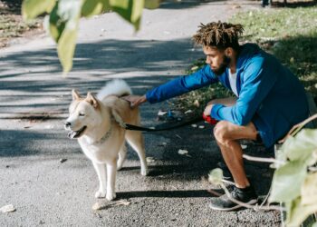 Ο σκύλος: Ο απόλυτος σύμμαχος του σύγχρονου άνδρα