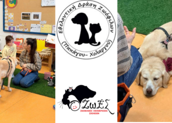 Μαθήματα Φιλοζωίας στο 6ο Νηπιαγωγείο Χολαργού