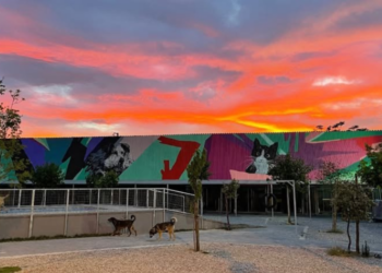 Συναγερμός για τα ζώα στο καταφύγιο «Σωκράτης»