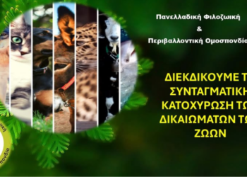 Συνταγματική Κατοχύρωση Ζώων-Ένα Βήμα για Δικαιοσύνη και Ευζωία