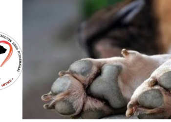 Πτολεμαΐδα-Ποινικοποιούν τον εθελοντισμό