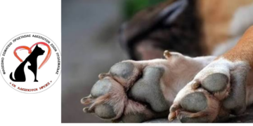 Πτολεμαΐδα-Ποινικοποιούν τον εθελοντισμό