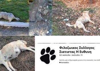 Serial killers στη Σιάτιστα Κοζάνης (σκληρές εικόνες)