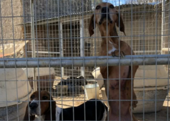 Γιατί ΔΕΝ ειναι εξωφρενική η απόφαση στη Σπάρτη