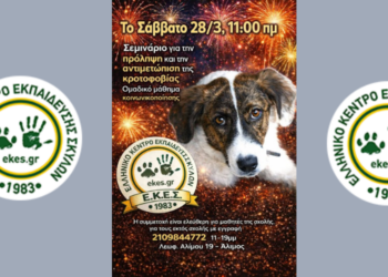 ΕΚΕΣ: Σήμερα το σεμινάριο για την κροτοφοβία