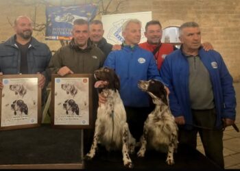 Ελληνικά Κυνηγόσκυλα Κατέκτησαν την Ευρώπη!