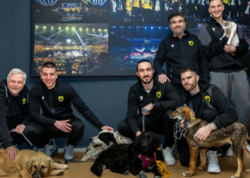 ΑΕΚ BC: Αγκαλιάζουν τα αδέσποτα, δίνουν ελπίδα!