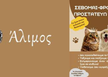 Μαθητές Αλίμου Δρουν Συγκινητικά για τα Αδέσποτα