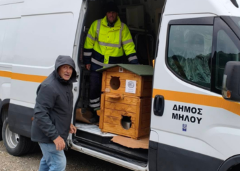 Μήλος: Νέα Εποχή στη Φροντίδα Αδέσποτων Ζώων