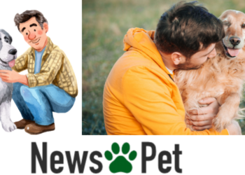 Checklist πρώτου σκύλου για άντρες που ζουν μόνοι