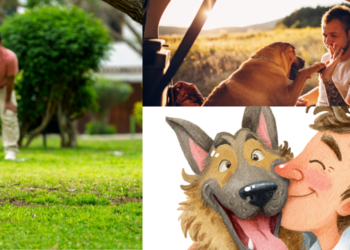 Άντρας και Σκύλος: Top 5 Δραστηριότητες στην Πόλη