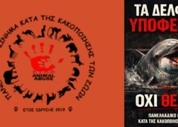 Δικαστική απόφαση χωρίς αντίκρισμα για δελφίνια